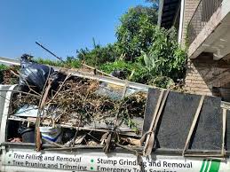 Best Basement Cleanout  in Woodville, FL